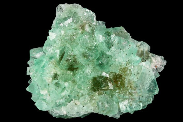 Green Fluorite Crystal Cluster - South Africa #111569